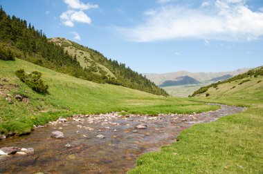 dağ, dağ, tepe. Kazakistan. Tien Shan. Takma Yaylası