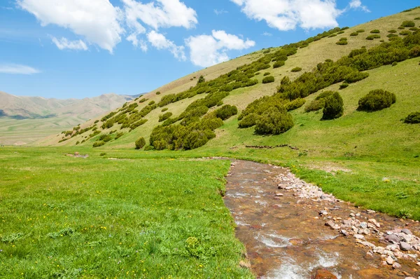 Góra, Góra, wzgórze. Kazachstan. Tien Shan. Assy płaskowyżu — Zdjęcie stockowe