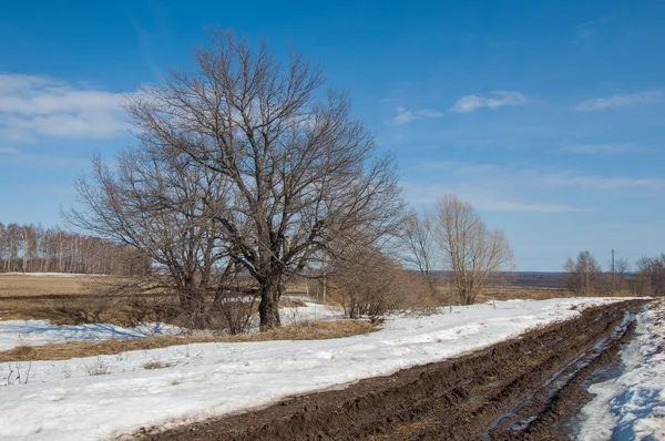 Der Frühling Hat Straßen Ausgespült Offroad Schlamm Auf Der Straße — Stockfoto