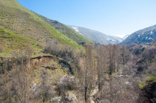 山泉水 哈萨克斯坦 田北俊山 美丽的风景的山景色 — 图库照片