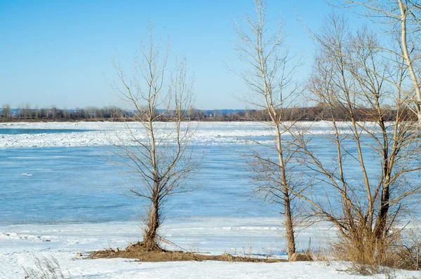 河道洪水 撕毁河冰 与去年的冰的河 早春的俄罗斯鞑靼斯坦凯马河 — 图库照片