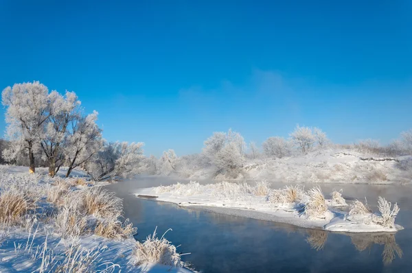 Vinter Vinter Tid Vinter Tid Dvale Årets Kaldeste Sesong – stockfoto