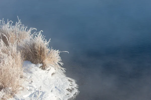 Inverno Inverno Maré Inverno Tempo Hibernar Ele Estação Mais Fria — Fotografia de Stock