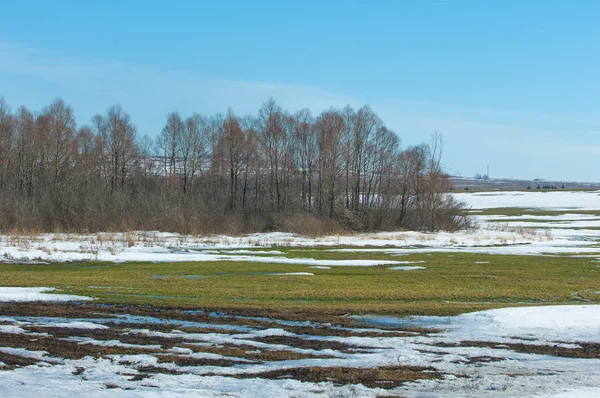 Primavera nieve invierno pasado — Foto de Stock