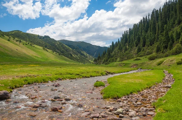 Mountain, mount, hill — Stock Photo, Image