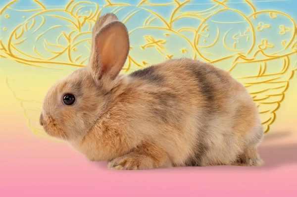 复活节兔子 虚构的兔子说要在复活节给孩子带来礼物 — 图库照片