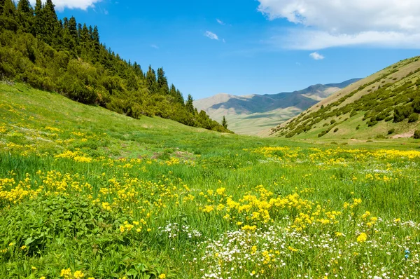 Mountain, mount, hill — Stock Photo, Image