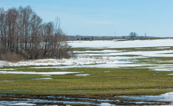 Neve primavera no inverno passado — Fotografia de Stock