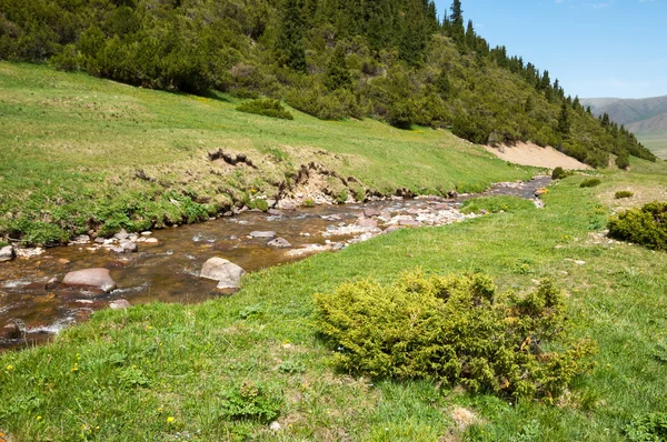 Mountain, mount, hill — Stock Photo, Image