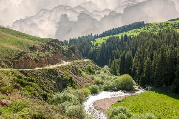 dağ yolundan. dağ, tepe