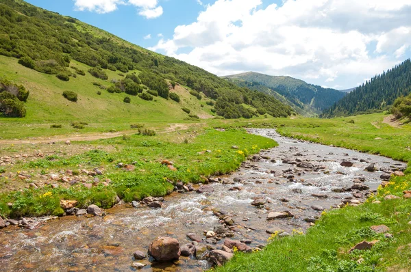 Hora Hora Vrch Kazachstán Tien Shan Komplet Plošina — Stock fotografie