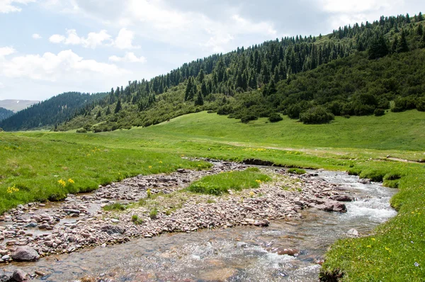 Góra, Góra, wzgórze. Kazachstan. Tien Shan. Assy płaskowyżu — Zdjęcie stockowe