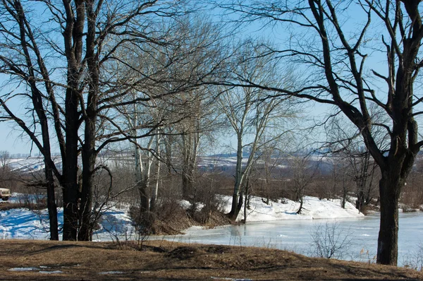 Frozen Lake Spring Spring Ice — Stock Photo, Image