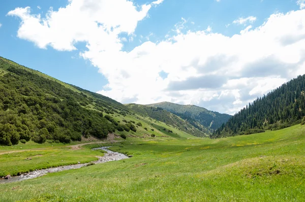 Hora Hora Vrch Kazachstán Tien Shan Komplet Plošina — Stock fotografie