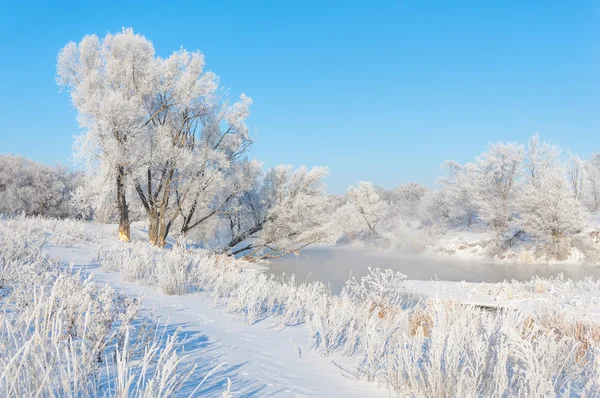 Vinter Vinter Tid Vinter Tid Dvale Årets Kaldeste Sesong – stockfoto