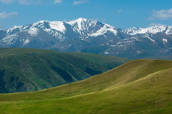 Montagna Monte Collina Kazakistan Tien Shan Altopiano Assato — Foto Stock