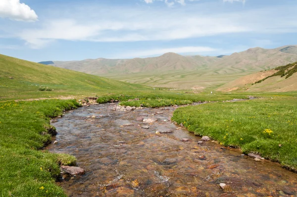 Góra Góra Wzgórze Kazachstan Tien Shan Assy Płaskowyżu — Zdjęcie stockowe