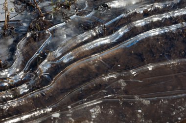 doku. Donmuş su birikintisi, Bahar, buz kalıpları. 