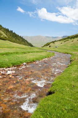 dağ, dağ, tepe. Kazakistan. Tien Shan. Takma Yaylası