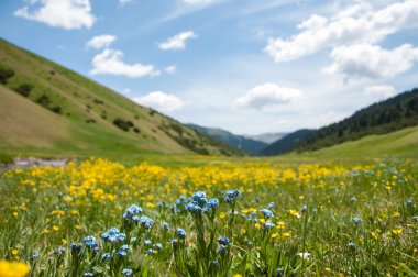 dağ, dağ, tepe. Kazakistan. Tien Shan. Takma Yaylası