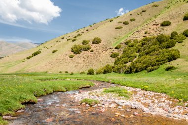 dağ, dağ, tepe. Kazakistan. Tien Shan. Takma Yaylası