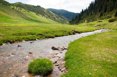 dağ, dağ, tepe. Kazakistan. Tien Shan. Takma Yaylası