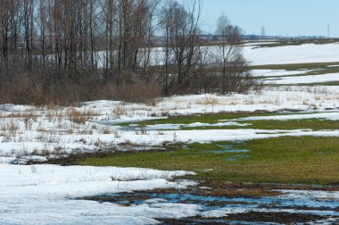 Geçen kış bahar kar. Ağaçlar