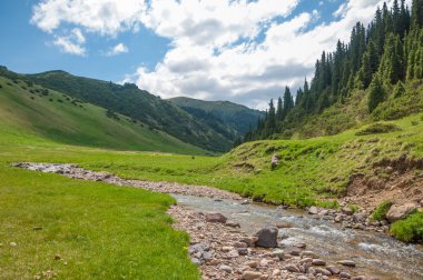 dağ, dağ, tepe. Kazakistan. Tien Shan. Takma Yaylası