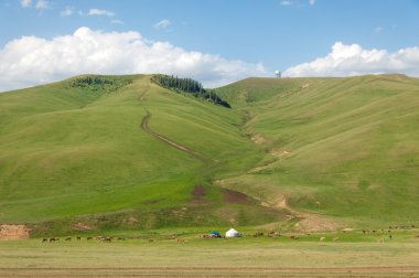 dağ, dağ, tepe. Kazakistan. Tien Shan. Takma Yaylası