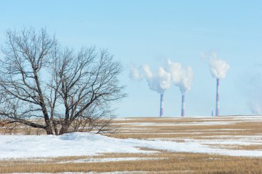 Boru Tesisi. Alan son kar ile. Yalnız Sonbahar ağaç. Solita