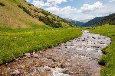 dağ, dağ, tepe. Kazakistan. Tien Shan. Takma Yaylası