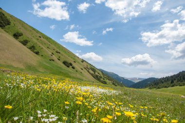 dağ, dağ, tepe. Kazakistan. Tien Shan. Takma Yaylası