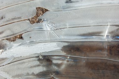 doku. Donmuş su birikintisi, Bahar, buz kalıpları. 