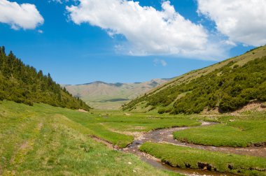 dağ, dağ, tepe. Kazakistan. Tien Shan. Takma Yaylası