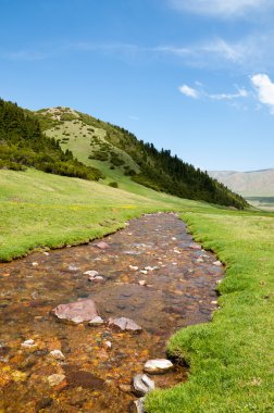 dağ, dağ, tepe. Kazakistan. Tien Shan. Takma Yaylası