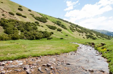 dağ, dağ, tepe. Kazakistan. Tien Shan. Takma Yaylası