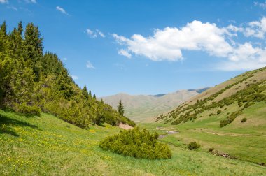 dağ, dağ, tepe. Kazakistan. Tien Shan. Takma Yaylası