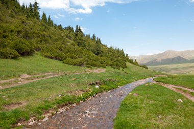 dağ, dağ, tepe. Kazakistan. Tien Shan. Takma Yaylası