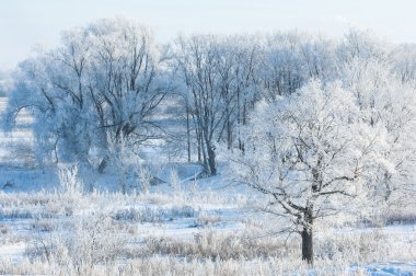 Nehir ile kırık Ice.energy sütunlar. buz Tepecik Nehri üzerinde