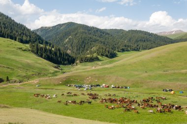 dağ, dağ, tepe. Kazakistan. Tien Shan. Takma Yaylası