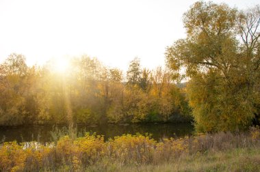 Sonbahar, Güz, yaprak sonbahar, sonbahar yaprak