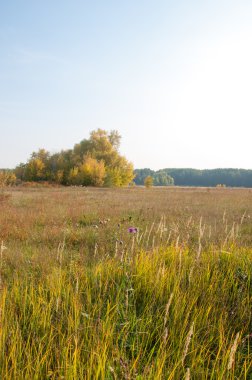 Sonbahar, Güz, yaprak sonbahar, sonbahar yaprak