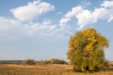 Sonbahar, Güz, yaprak sonbahar, sonbahar yaprak