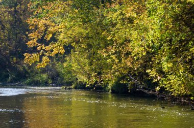 Sonbahar için harika bir zaman
