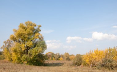 Sonbahar, Güz, yaprak sonbahar, sonbahar yaprak