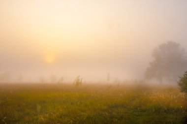 Sonbahar, Güz, yaprak sonbahar, sonbahar yaprak