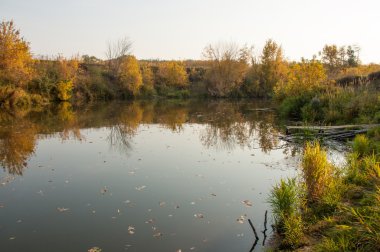 Harika vakit sonbahar sonbahar, Güz, yaprak Sarımlı, yaprak