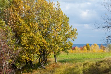Sonbahar, altın yaprakları, harika bir zaman gün sıcak