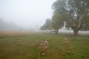 Sonbahar, Güz, yaprak sonbahar, sonbahar yaprak. yaprakları ve otelde bitkileri ve meyve toplandık yılın üçüncü sezon sonbahar