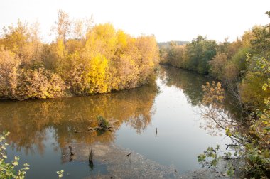 Sonbahar, Güz, yaprak sonbahar, sonbahar yaprak. yaprakları ve otelde bitkileri ve meyve toplandık yılın üçüncü sezon sonbahar